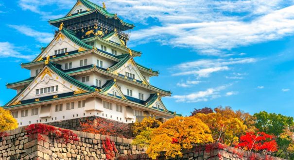 japan حیات وحش و طبیعت این کشور