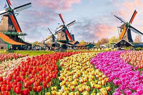 netherlands-1 گردش در شهر آمستردام