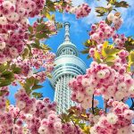 ویزای توریستی ژاپن