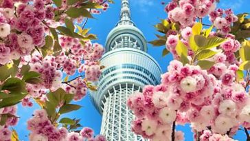 ویزای توریستی ژاپن