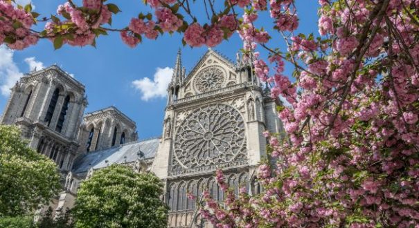 Notre-Dame Cathedral in Paris2 تاریخچه کلیسای نوتردام از مکان های معروف پاریس