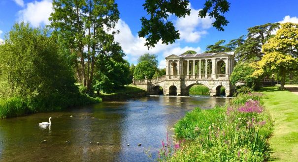 Salisbury2 تاریخچه سالزبری