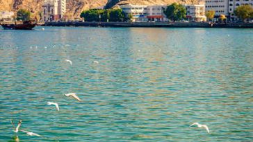 جاذبه های دیدنی عمان