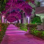 Bendis Beach Hotel 5