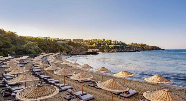 Club Marvy2 Club Marvy2