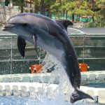 Labranda Mares Marmaris2