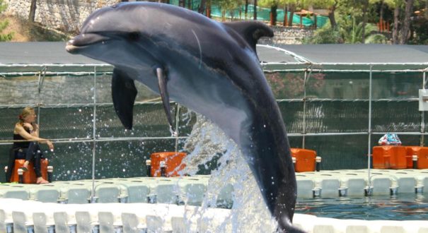 Labranda Mares Marmaris2 Labranda Mares Marmaris2