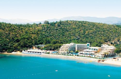 Paloma Pasha00 Paloma-Pasha00