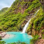 مزارع کندر در صلاله