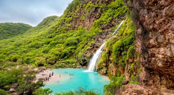 مزارع کندر در صلاله