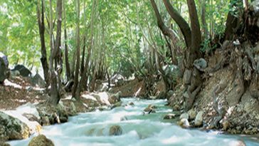 تعطیلی گردشگری و صنایع دستی استان کهگیلویه و بویراحمد