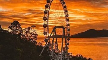 بالناریو کامبوریو