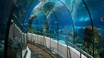 آکواریوم در استانبول