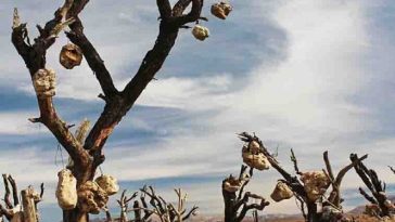 مکان های ترسناک ایران