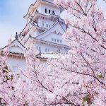 ترفند ژاپن برای جذب گردشگر بین‌المللی