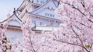 ترفند ژاپن برای جذب گردشگر بین‌المللی