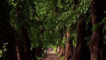 جاذبه های طبیعی استانبول