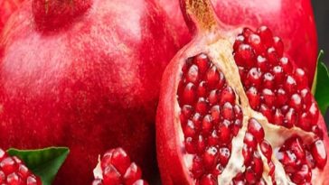 رتبه سوم تولید انار دنیا