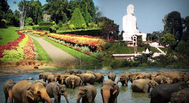 kandy3 زیبایی کندی