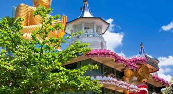 knady معبد دندان