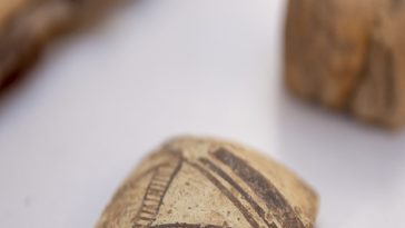 کشف صدف‌های کار شده از گونه‌های دریایی در تپه پوستچی