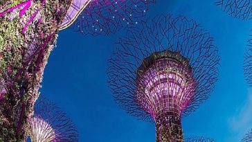 گردشگران خارجی سنگاپور