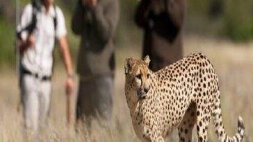 آغاز رویداد اکوتوریسم حیات وحش گردشگری در استان یزد