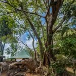 آنورادهاپورا