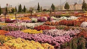 محلات در انتظار مسافران نوروزی