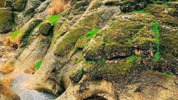 حضور ۷۰ هزار نفر در منطقه گردشگری هفت حوض مشهد در ایام نوروز