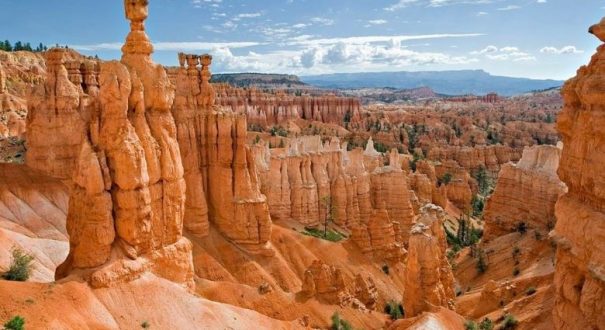 Qeshm tourist attractions3 قلعه نادری از جاذبه های گردشگری قشم